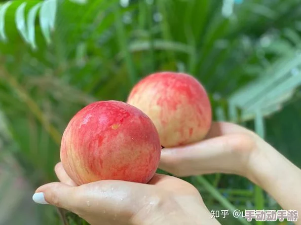 蜜桃秘 无码一线二线三线：全新剧情上线，带你体验前所未有的互动乐趣与精彩瞬间！