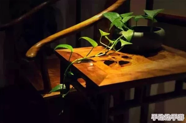 纸不语游戏官方下载地址及安装链接分享指南