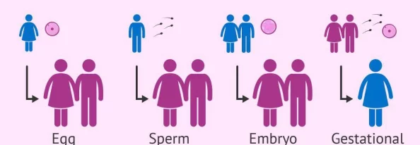 欧美人与禽性XXXXX杂性：新研究揭示跨物种交配对生态系统的潜在影响与伦理争议