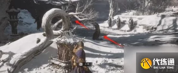 《黑神话：悟空》游戏中轻身散获取地点及详细攻略指南