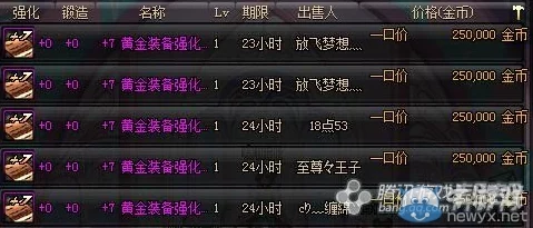 DNF中哪个圣物装备最赚钱？深度解析与市场趋势