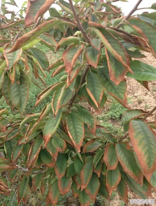 美女扒开尿口让男生玩，现场气氛火热，引发众多网友热议与讨论，瞬间成为社交媒体的焦点话题