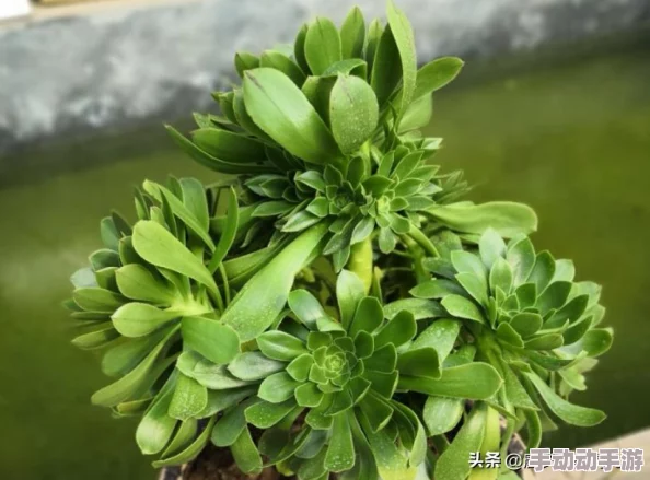 原始传奇游戏中法师角色快速提升等级的最佳地点推荐