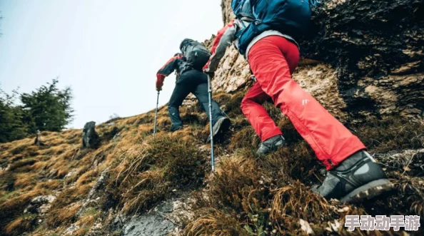 缺氧初期面临食物短缺的应对策略与解决方法介绍 缺氧初期面临食物短缺的应对策略与解决方法介绍