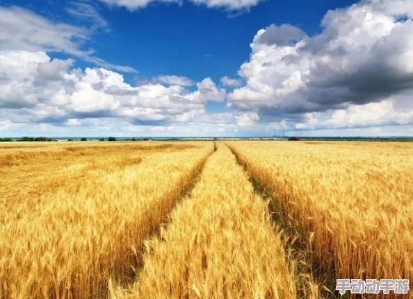 边缘世界生存指南：初始粮食作物推荐，玉米、土豆还是水稻更优？