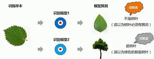 扦b和扦b的区别图片:深入解析两者特征与应用场景,帮助你更好地理解它们的不同之处 扦b和扦b的区别图片:深入解析两者特征与应用场景,帮助你更好地理解它们的不同之处