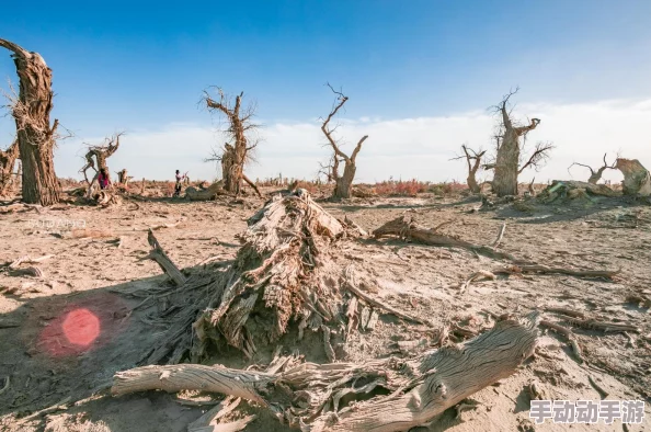 大地资源二3在线观看免费高清：最新动态与精彩内容更新，带你领略更多震撼画面和深度解析！