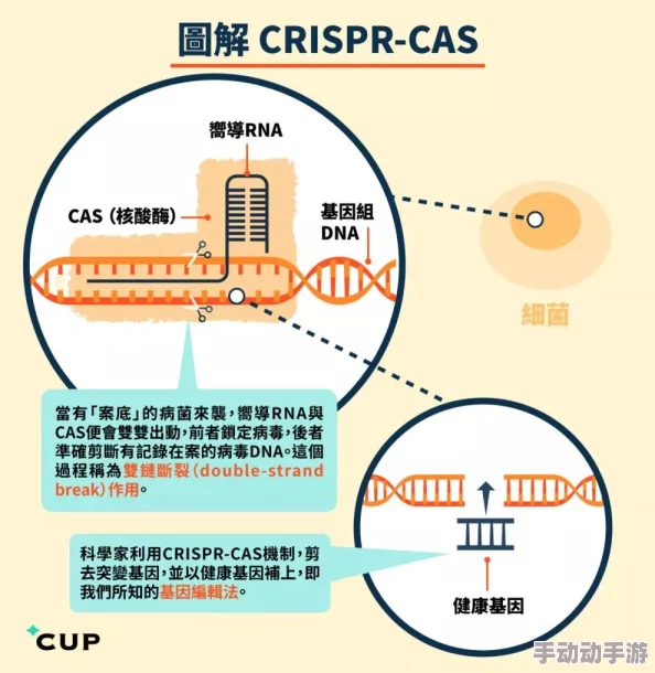 aby9映射最新：深入解析aby9技术的最新进展及其在各领域应用中的重要性与前景