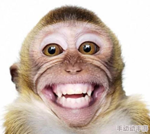 二人生猴子全程图片:记录一对情侣在旅途中与猴子亲密互动的精彩瞬间,展现人与动物之间的和谐关系 二人生猴子全程图片:记录一对情侣在旅途中与猴子亲密互动的精彩瞬间,展现人与动物之间的和谐关系