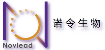 亚洲人成网i8禁止，因涉嫌传播不当内容引发广泛关注与讨论，网友热议网络监管新政策的必要性与影响