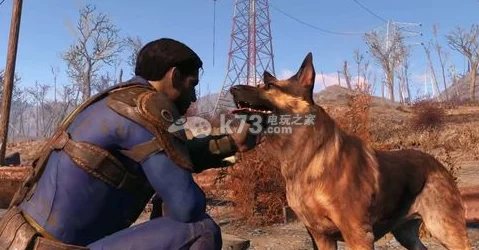 辐射4游戏中：如何选择最佳角色以打造强力队友组合策略