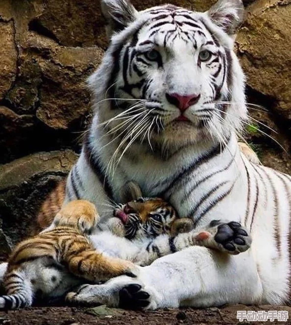 妹妹窝：最新动态揭示了她在艺术创作中的新尝试与成长，展现出独特的个人风格和对生活的深刻理解