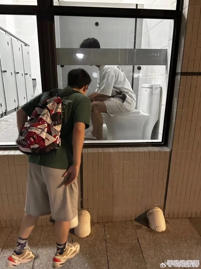 偷拍沟厕：隐私权与公共安全的冲突，如何在技术进步中保护个人尊严？