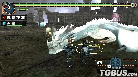 怪物猎人2中哪些龙种相对更易于捕获？新手向攻略