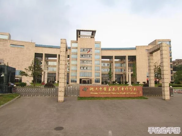 2012年DNF游戏中哪个职业最为强势,深度解析与对比 2012年DNF游戏中哪个职业最为强势,深度解析与对比