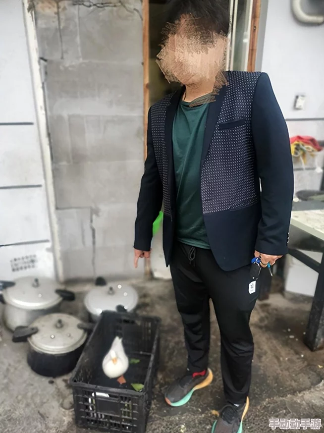 鹅鸭杀身份窃贼角色深度玩法解析与攻略指南：全面掌握身份窃贼怎么玩