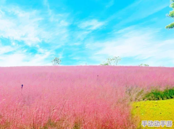 亲子乱子伦视频播放引发社会广泛关注，专家呼吁加强对未成年人保护措施的紧急讨论！