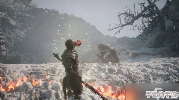 深入解析：黑神话悟空游戏中金趁心数量详情及版本推荐指南