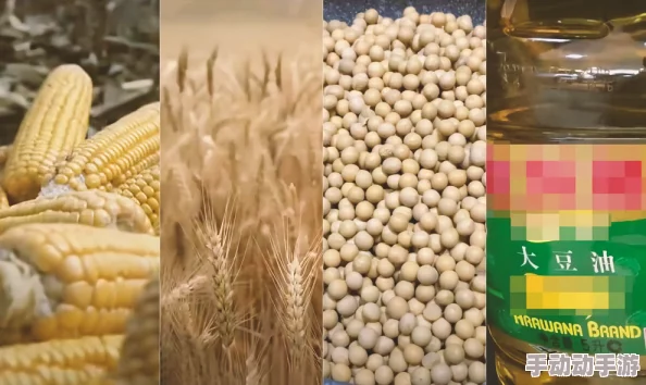 51大豆行情软件最新动态：市场波动加剧，投资者需关注价格走势与政策影响分析