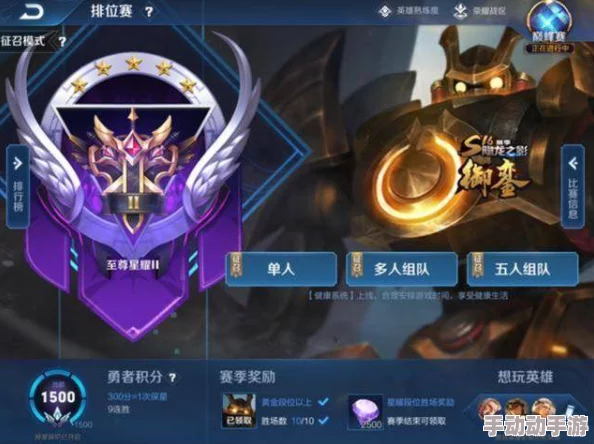 王者荣耀游戏中玩家的段位信息是否可以选择隐藏探讨