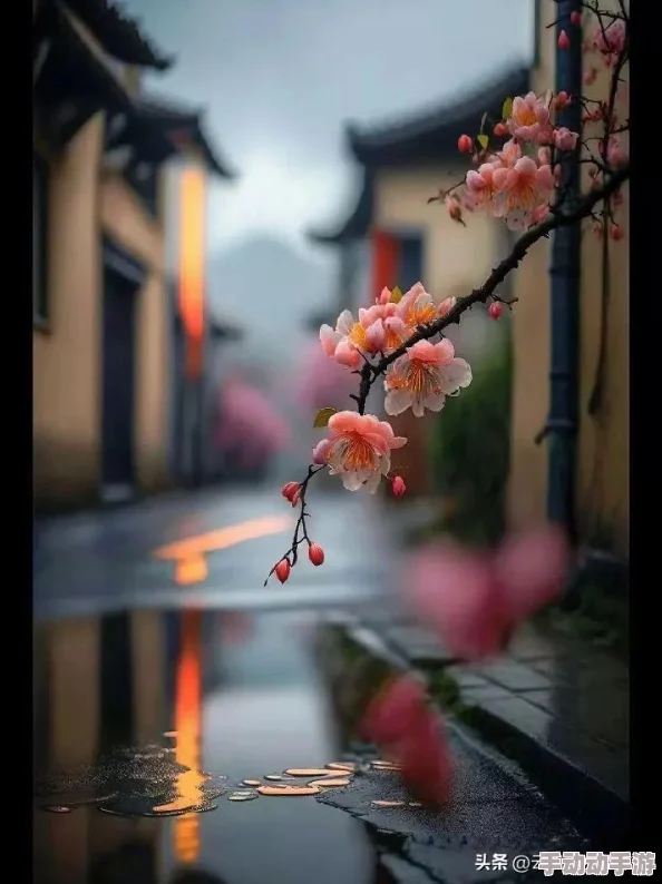 4hu最新地域网名：2023年各地热门网名大盘点与推荐，展示多样文化和创意表达