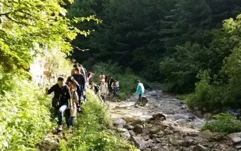 精品国内一区二区三区免费视频：最新动态与用户反馈，提升观看体验的全新选择与推荐