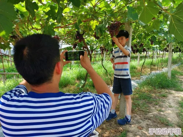 五一吃瓜今日必吃：畅享夏日清凉，推荐五款不可错过的美味西瓜食谱与搭配技巧
