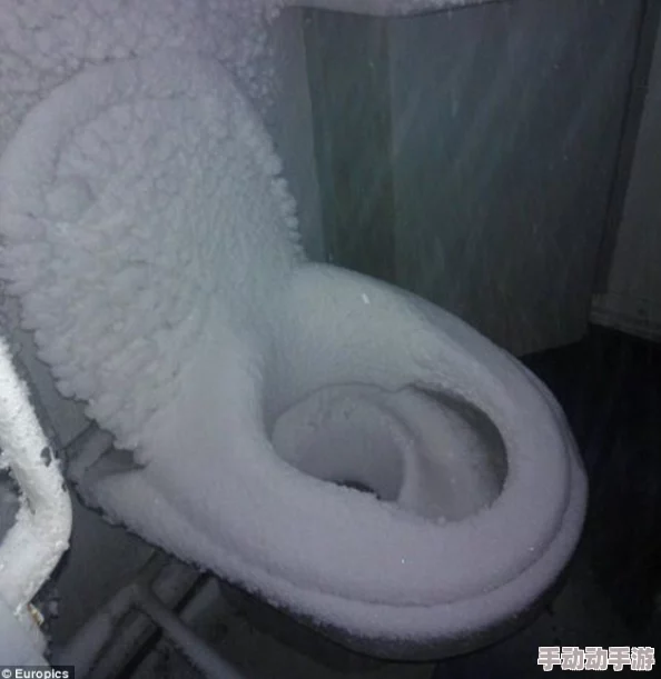 波兰大白屁股xxxxx：最新研究揭示其独特生态习性与保护现状，引发全球关注与讨论