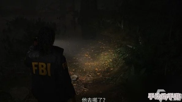 心灵杀手2：第二章回归之旅——心脏之谜1深度解密与攻略指南