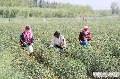 中外处破与摘花：全球农业合作新模式助力可持续发展与生态保护的未来展望
