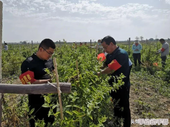 中外处破与摘花：全球农业合作新模式助力可持续发展与生态保护的未来展望