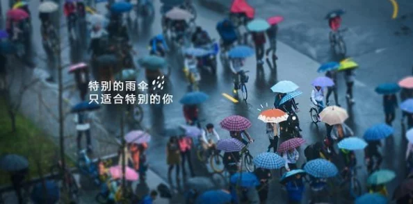 一晚上8个小雨伞：神秘事件引发热议，网友纷纷猜测背后故事与意义