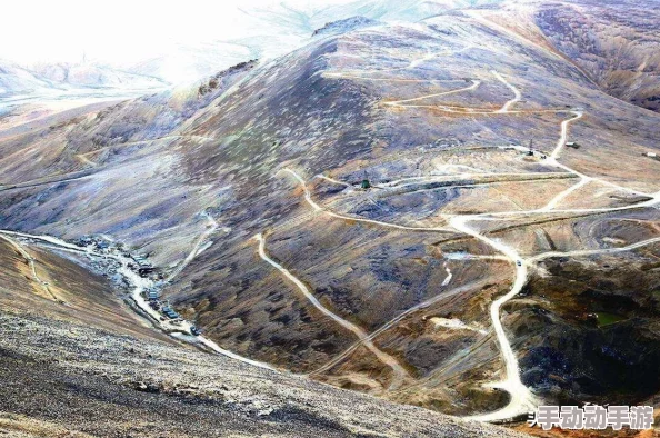 网禁 拗女稀缺1300：新动态揭示网络限制对年轻女性发展的深远影响与挑战