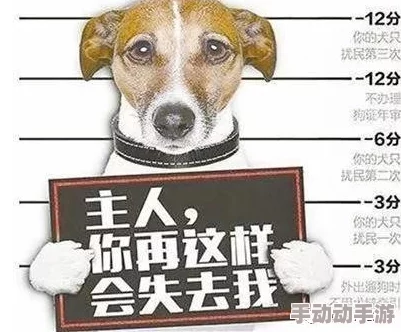 宝贝真乖高h：近期宠物养护新趋势引发热议，专家分享如何更好地照顾你的爱宠！