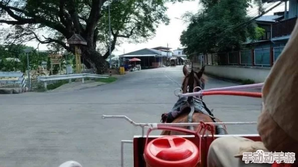 大象传媒2024年人口预测：分析未来五年中国人口变化趋势与影响因素的深度研究报告发布