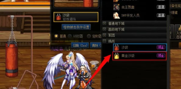 DNF打桩测试：解析各职业最适合使用的沙包类型与选择策略