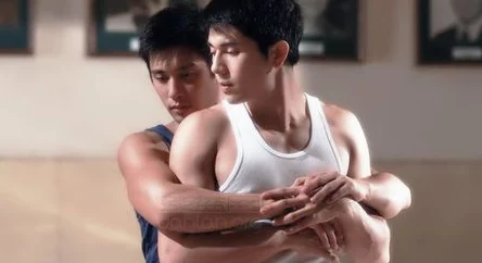 亚洲男同性视频引发全球热议，震惊网友的背后故事曝光，揭示了不为人知的秘密与挑战！