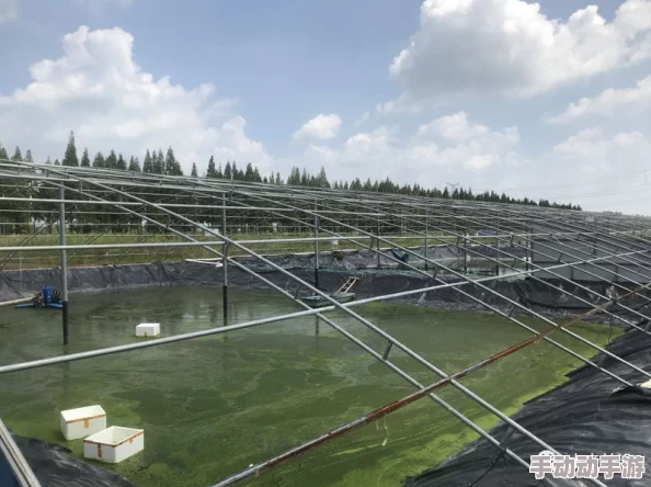(9I破解版)免费版安装：最新动态与用户反馈，助你轻松上手体验全新功能与优化！