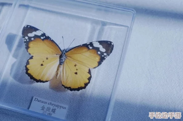 八重神子被影悼哭了,感人瞬间引发玩家热议,情感共鸣让人心碎不已! 八重神子被影悼哭了,感人瞬间引发玩家热议,情感共鸣让人心碎不已!