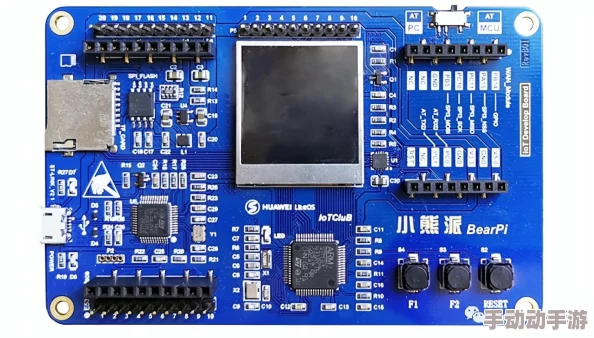 别对我的妹妹出小熊移植，网友纷纷表示这种行为太过分，应该尊重他人的选择和身体自主权