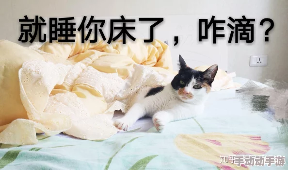 父母房间出现哼哼声的几种原因，可能与健康问题、环境因素及心理状态等多方面有关，值得关注和探讨