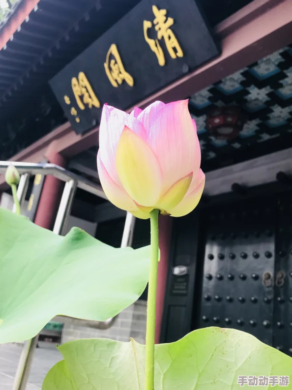 清风阁三级：全新升级体验，带您领略更高层次的文化魅力与自然风光！