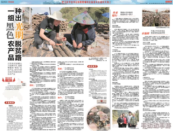 国产又大又粗又硬又长免费,用户反馈热烈,市场反响超出预期,引发行业广泛关注与讨论 国产又大又粗又硬又长免费,用户反馈热烈,市场反响超出预期,引发行业广泛关注与讨论