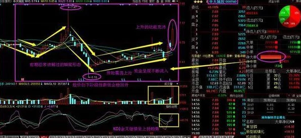 草流视频：最新动态揭示平台内容更新与用户互动新趋势，吸引更多年轻观众关注