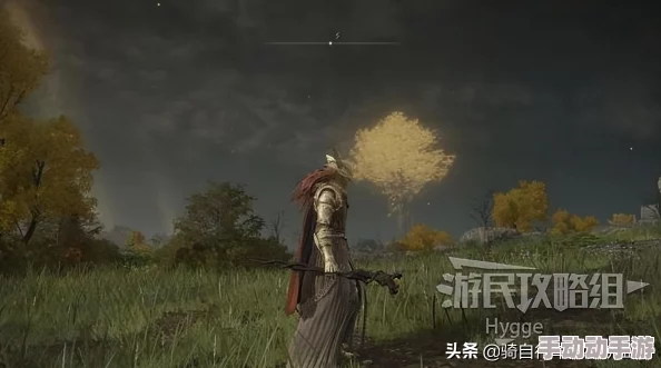 艾尔登法环游戏中哪个魔法仗更适合玩家选择与使用分析