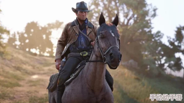 80岁老人玩荒野大镖客2，感受西部牛仔生活的乐趣与挑战，网友纷纷点赞其勇气与热情