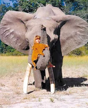 美国人与动物的亲密关系：如何在现代社会中重建人与自然的和谐共生，促进生态保护与动物福利的发展