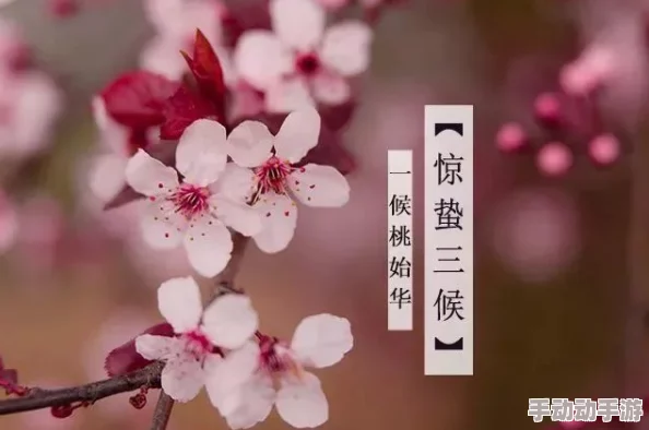 几几寒进桃子里,温暖春风吹拂大地,桃花盛开迎来新生机 几几寒进桃子里,温暖春风吹拂大地,桃花盛开迎来新生机