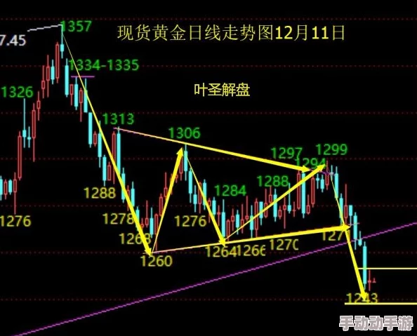 欧亚尺码欧洲b1b1：最新动态解析及市场趋势分析，助你更好地选择合适的尺码！