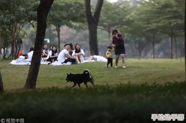 禁处动态图:震撼曝光!网络热传的禁忌画面引发社会广泛关注与讨论,背后真相令人瞩目! 禁处动态图:震撼曝光!网络热传的禁忌画面引发社会广泛关注与讨论,背后真相令人瞩目!